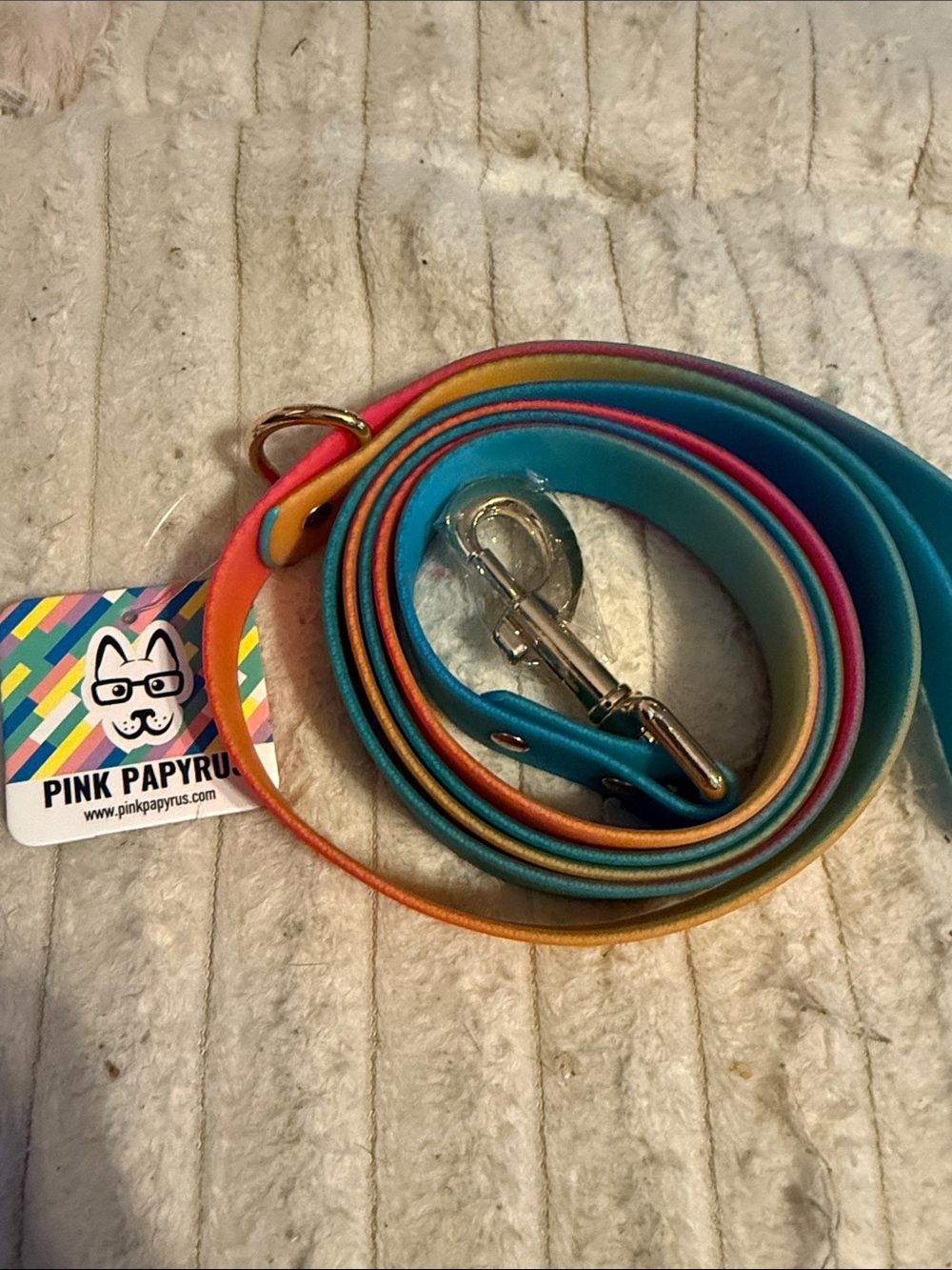 Papyrus Rainbow Small Pet Leash - Blue, Pink, Orange, Yellow 6 ft